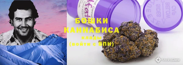 молекула духа Богданович