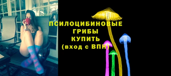 мяу мяу мука Белокуриха