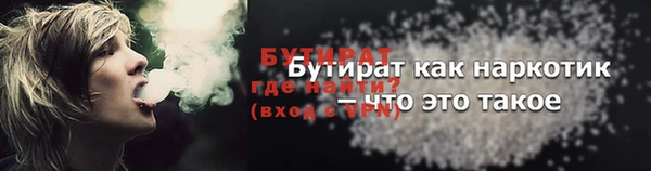 молекула духа Богданович