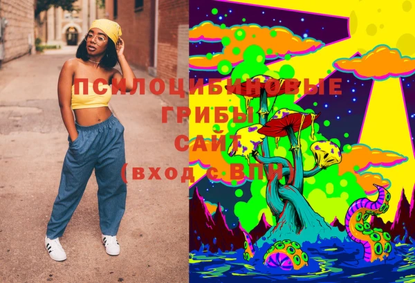 молекула духа Богданович