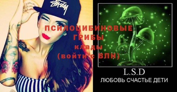 молекула духа Богданович