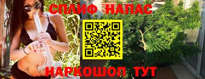 мяу мяу мука Беслан