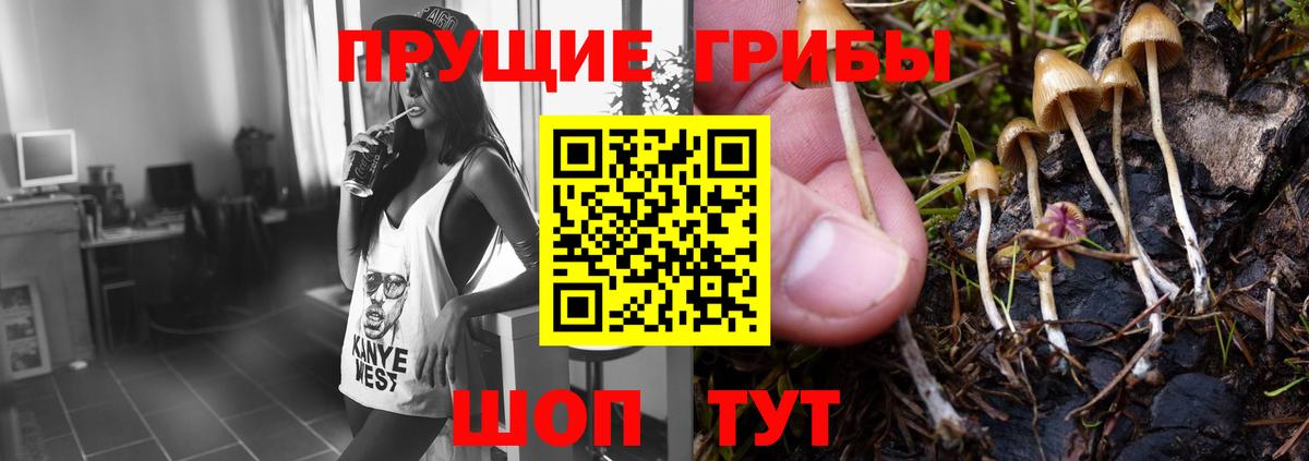 Псилоцибиновые грибы GOLDEN TEACHER  Вход с VPN  Воркута 